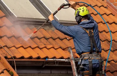 Démoussage et hydrofuge de toiture à Lanarvily